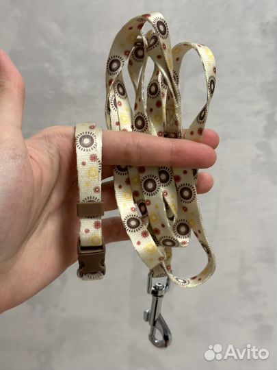 Вещи для собак