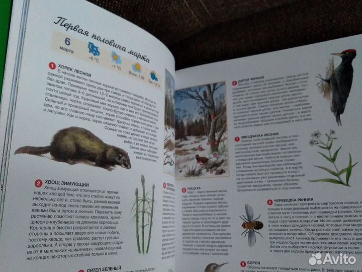 Детские книги разных издательств