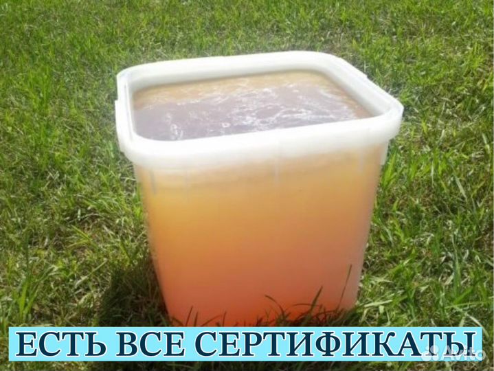 Мёд оптом высшего качества
