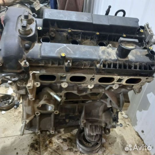 Двигатель на Ford Focus 3 2 литра