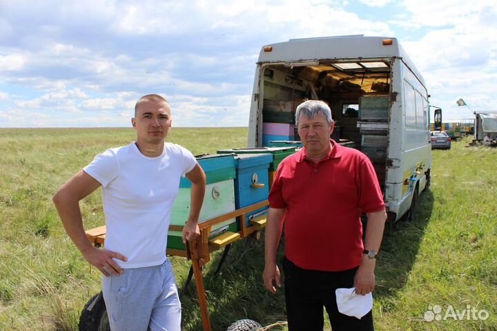 Мёд Гречишный, монофлерный - полезный, см отзывы