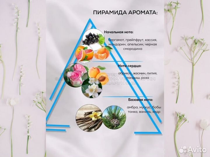 Духи на основе масла Нефертити