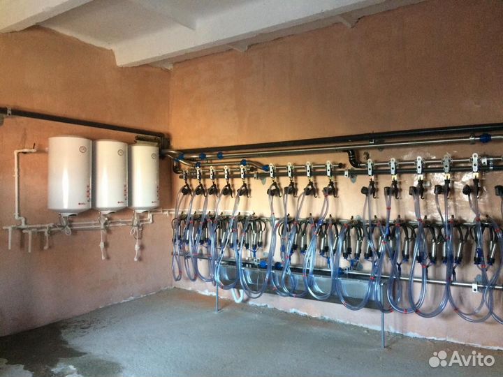 Молочное оборудование