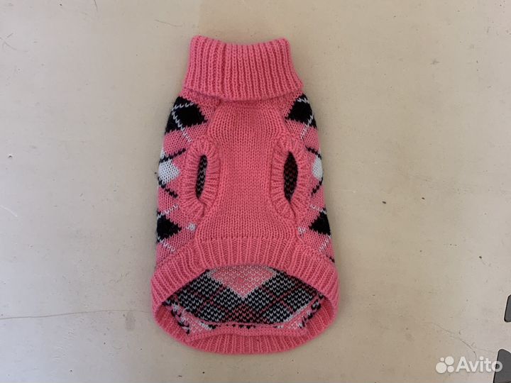 Одежда для кошек