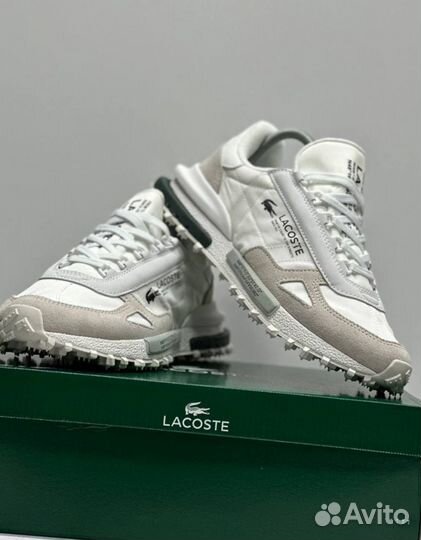 Кроссовки Lacoste premium