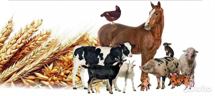 Комбикорм от завода