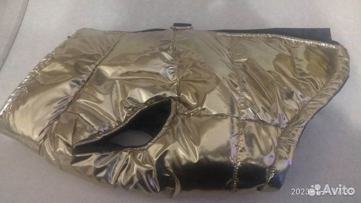 Одежда для собак