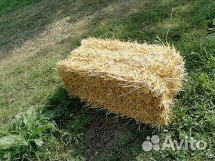 Солома в тюках, сено в мини-рулонах