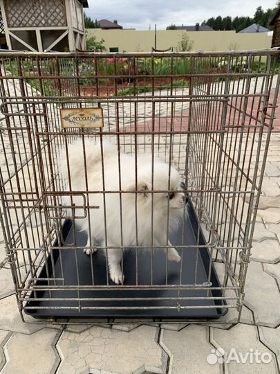Клетка вольер для собак