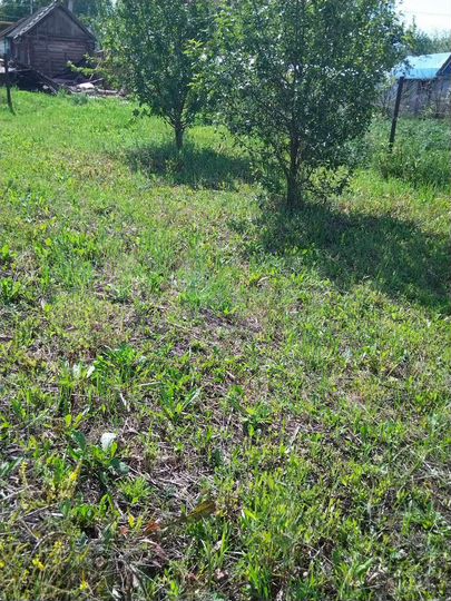 Участок 7,5 сот. (ИЖС)