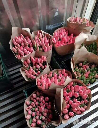 Тюльпаны свежие с теплицы в пачках к 8 марта