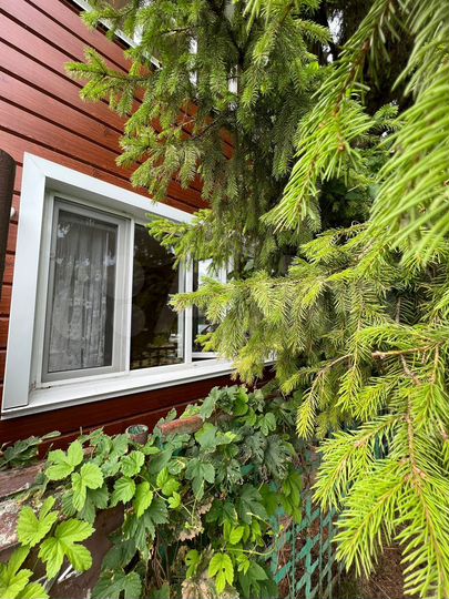 Дом 168,3 м² на участке 6 сот.