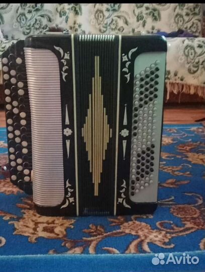 Баян,Беларусь