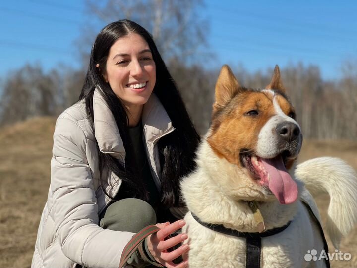 Милейшая собака Милка ждет своего человека