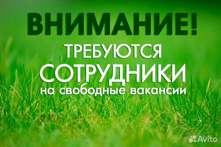 Упаковщики фасовщики
