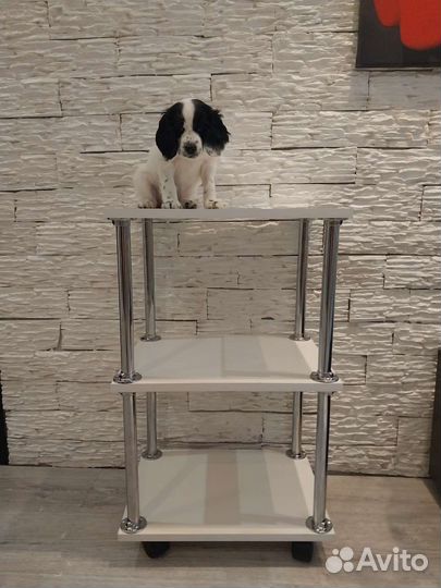 Тележка косметологическая/журнальный столик