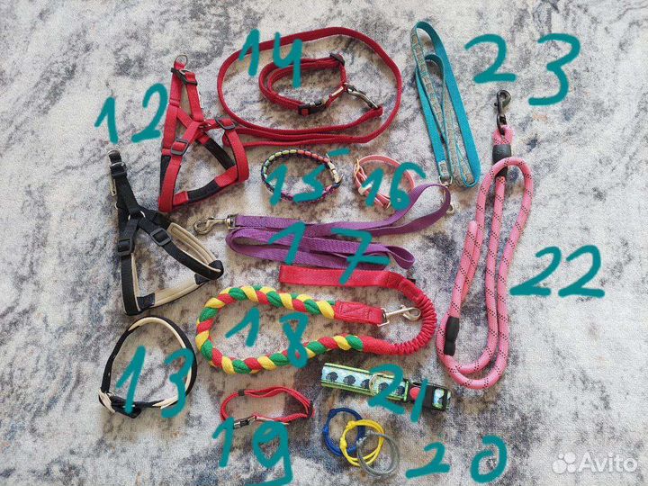 Много разных вещей для собак