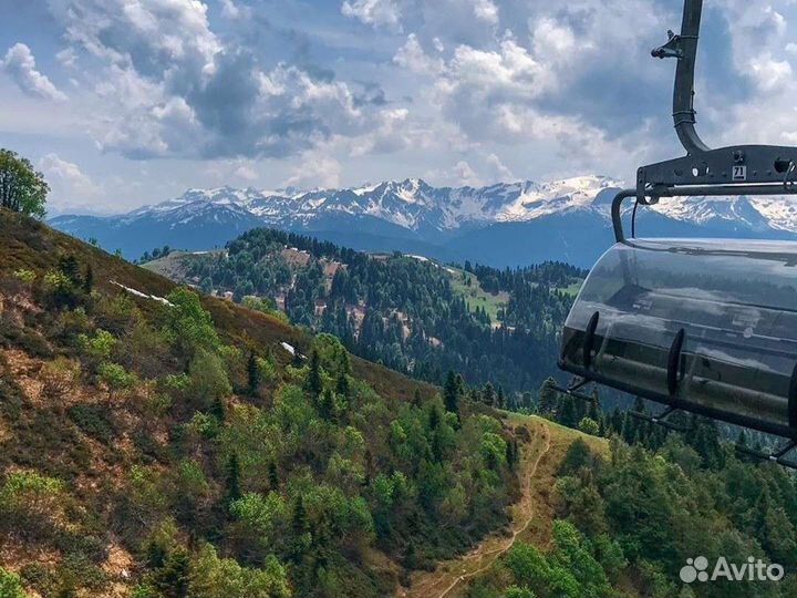 Экскурсия на Красную Поляну / Роза Хутор