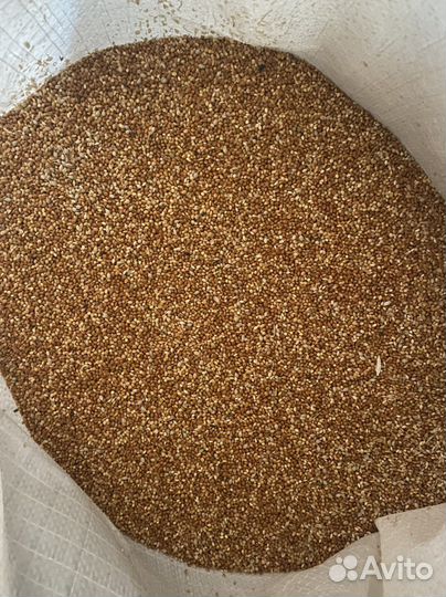 Комбикорм Для Птицы