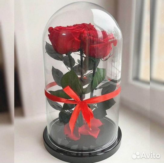 Розы в колбе любые