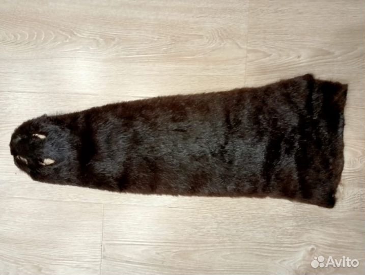 Шкурка выдры