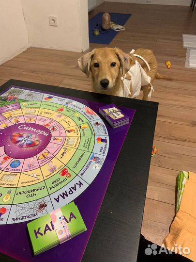 Проведение игры 