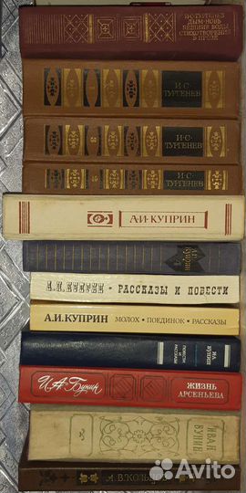 Библиотека русских классиков