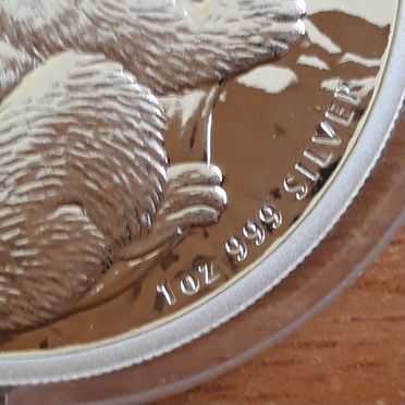 1 доллар 2008г Коала.Австралия.Серебро.Не позолота