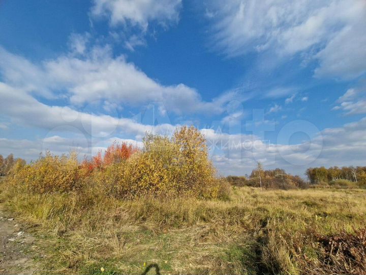 Участок 10 сот. (СНТ, ДНП)