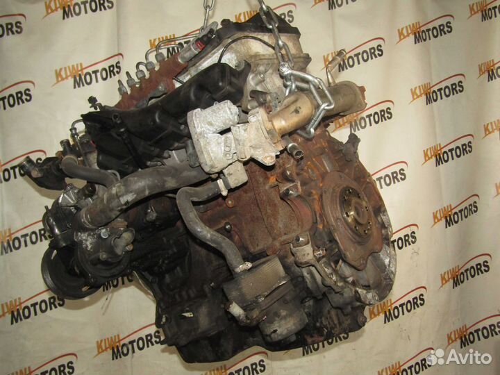 Двигатель Ford Transit Transit 2.4 phfa