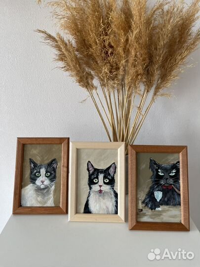 Картины коты 10х15 с рамками