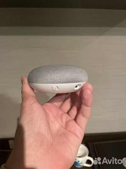 Google home mini