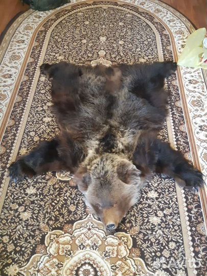 Шкура медведя имитация