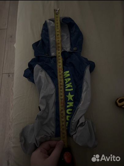 Одежда для чихуахуа