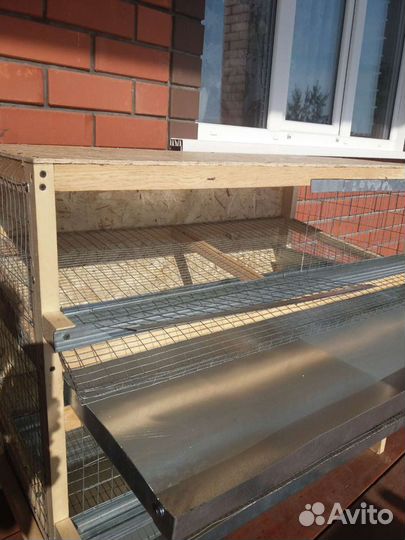 Клетка для перепелов