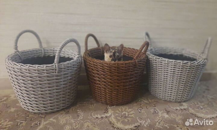 Кашпо из ротанга