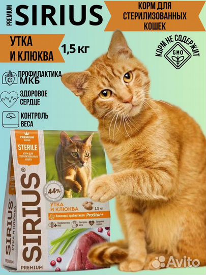 Дизайнер инфографики