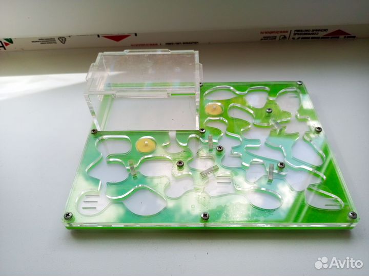 Муравьиная ферма без муравьев