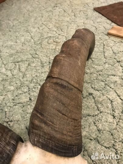 Голова с рогами Тур