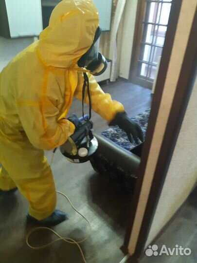 Дезинфекция