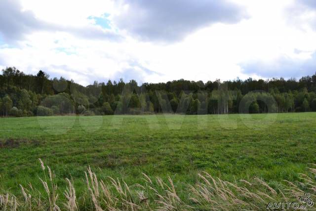 Участок 4 га (СНТ, ДНП)