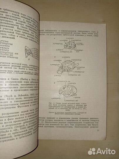 Лимбика. Айрапетьянц. 1967