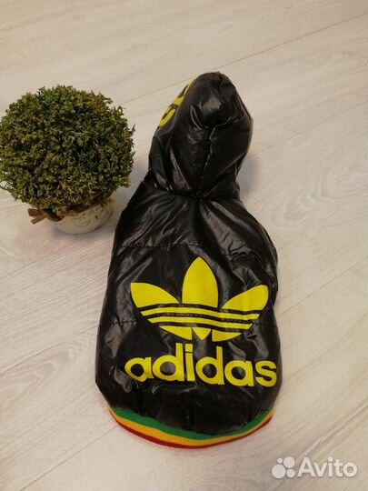 Костюмы и вязаные кофты для мелких пород собак