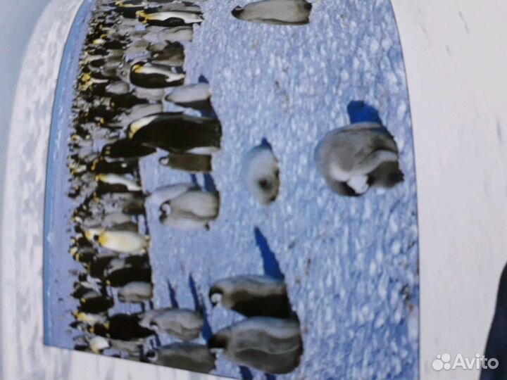 Атлас мира/ Ридерз дайджест