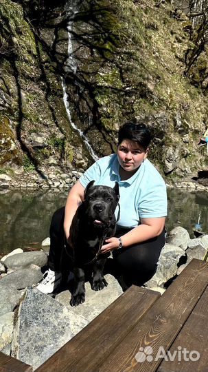 Кинолог Зоопсихолог с выездом Дрессировка