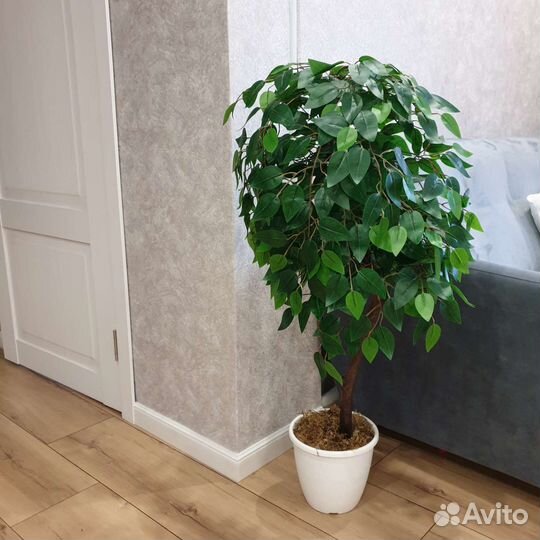Фикус искусственный