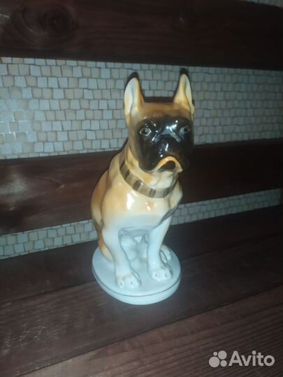 Собака бульдог лфз, СССР