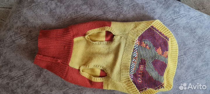 Одежда для собак