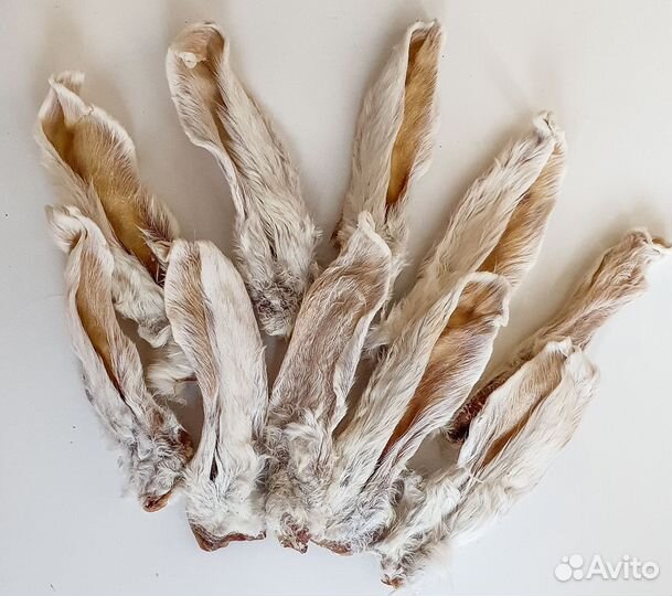 Уши кролика сушеные