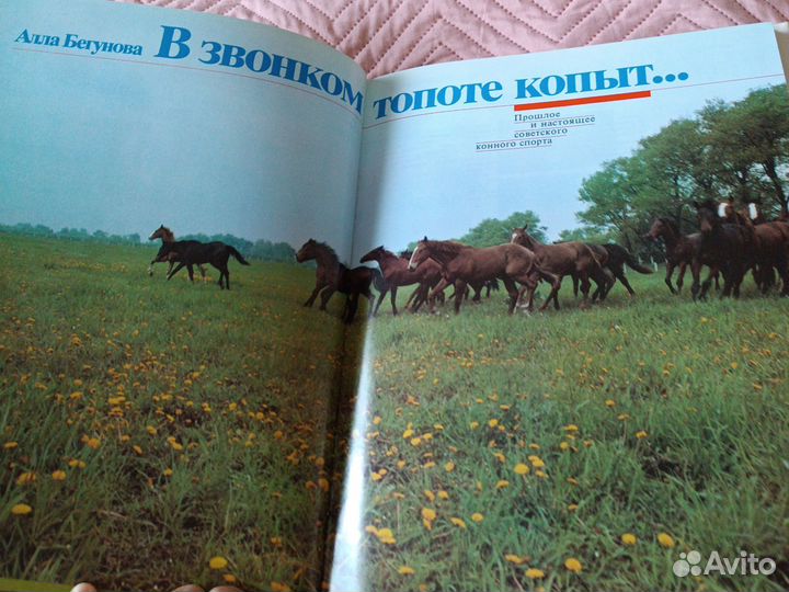 Алла Бегунова В звонком топоте копыт